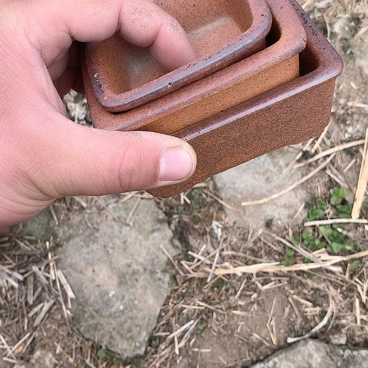 紫砂哈哈真的是太给力的