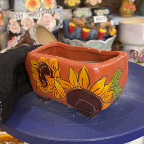 【闪购商品】红陶1