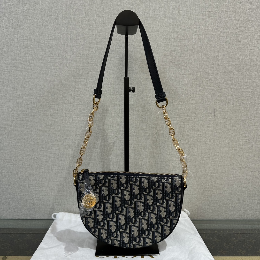 95新 DIOR/迪奥 24新款经典老花半月包 15242