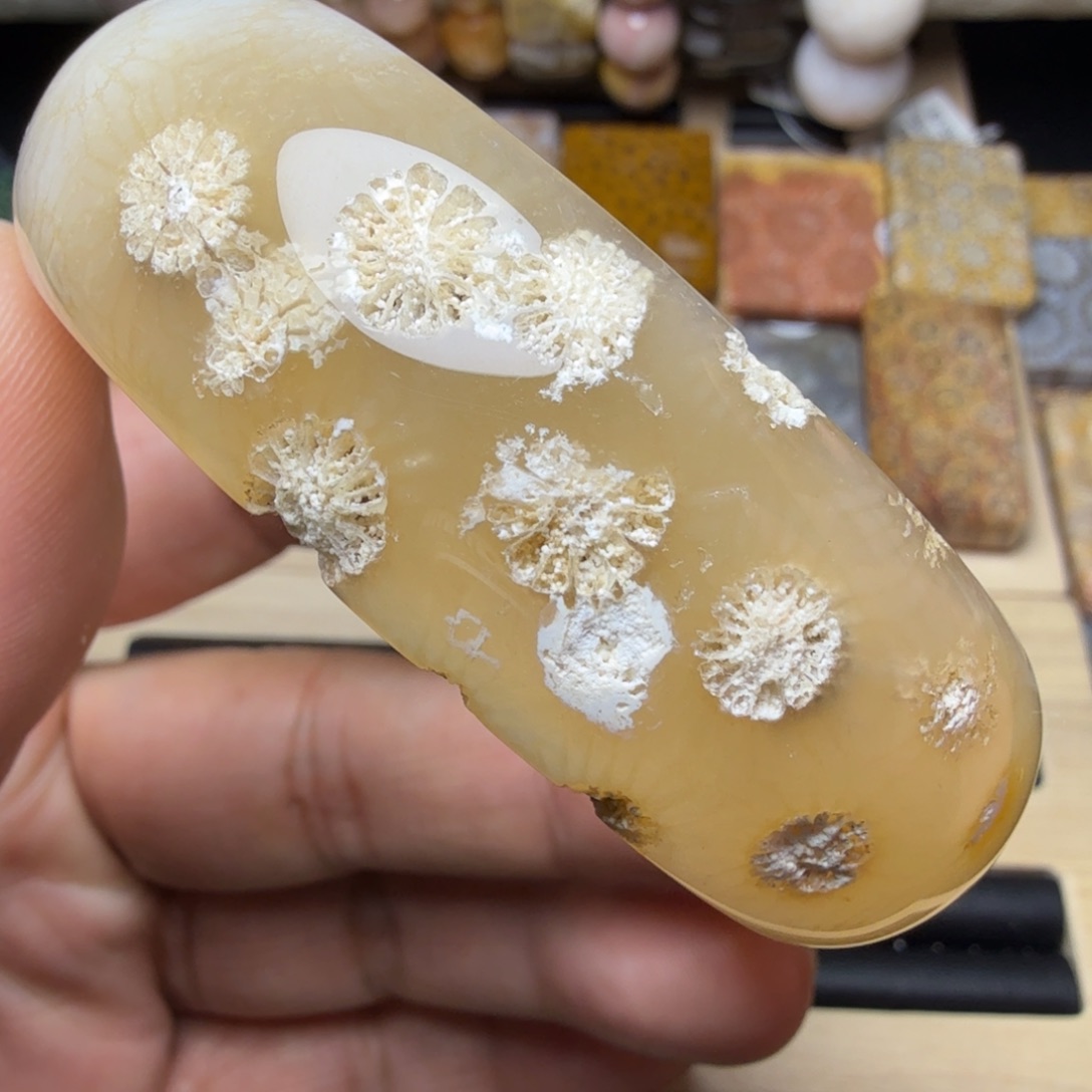 硅化玉未镶嵌纯天然色有机玉石保真色56.8圈口