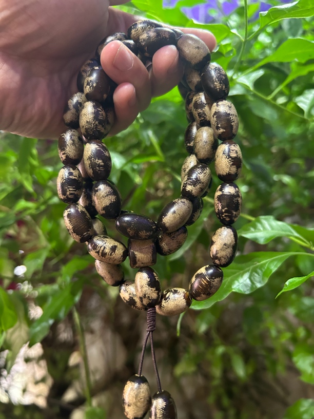 【土特产菇506】净含量103g