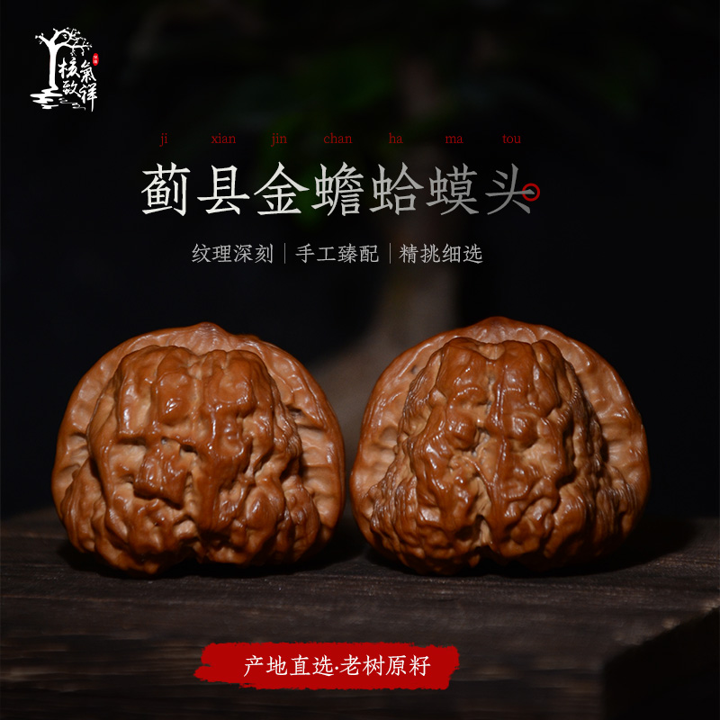 【新年开场大福利】40蓟县蛤蟆头文玩核桃