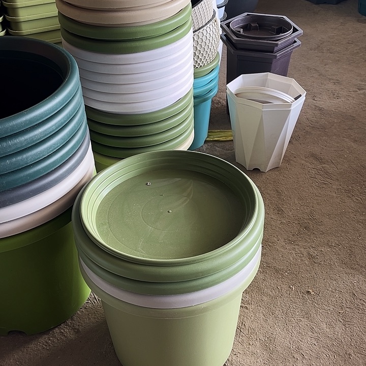 塑料?***圆瑕疵四季盆7号果绿色5个长盛