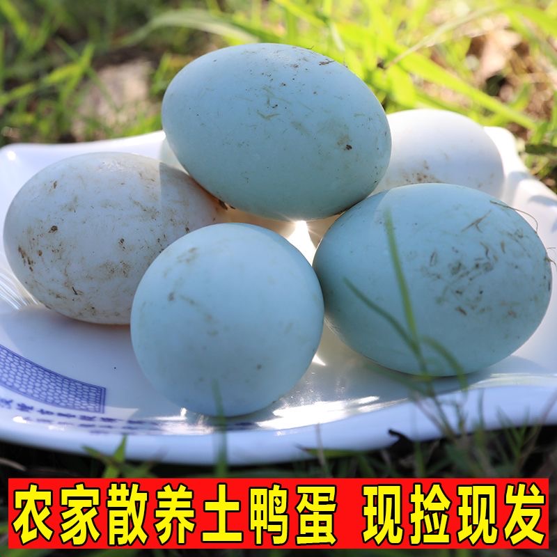 【放养土鸭蛋绿壳白壳】鄱阳湖正宗农家土鸭蛋20枚60-70g