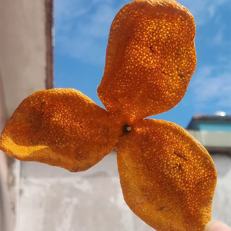 【冬后大红皮】2025年新会天马圈枝冬后大红皮自然生晒陈皮原材料