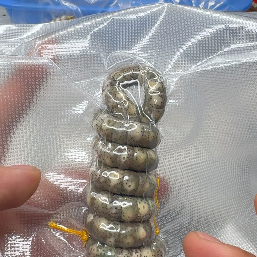 星月菩提手串大肠