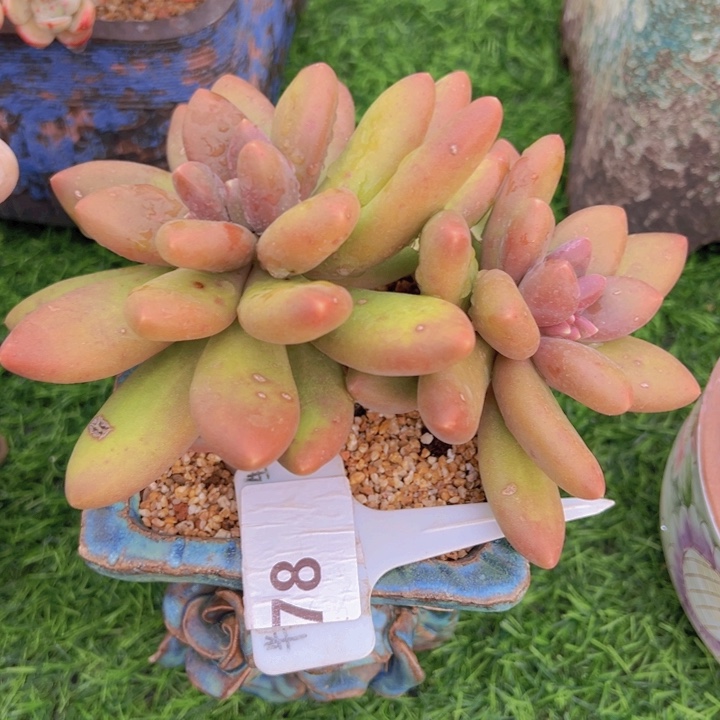 健健康康平平安安