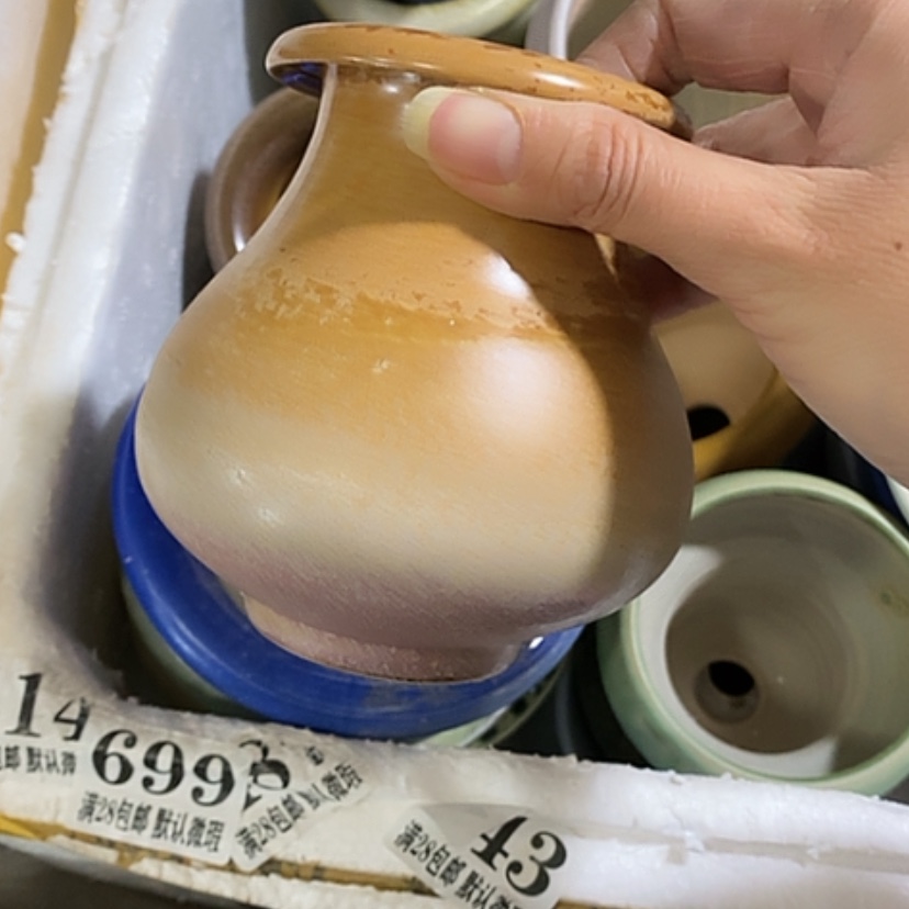 【闪购商品】红陶口6