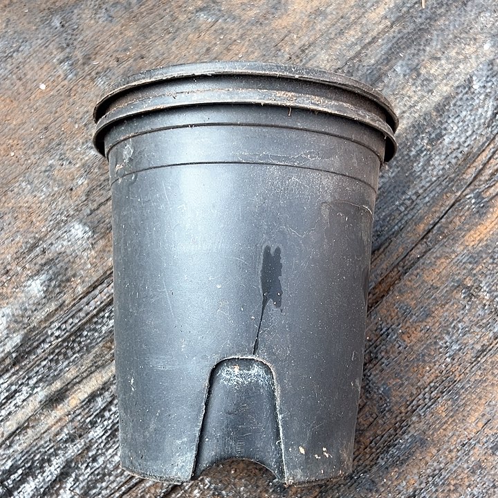 塑料口径16高度17黑加仑一组15个