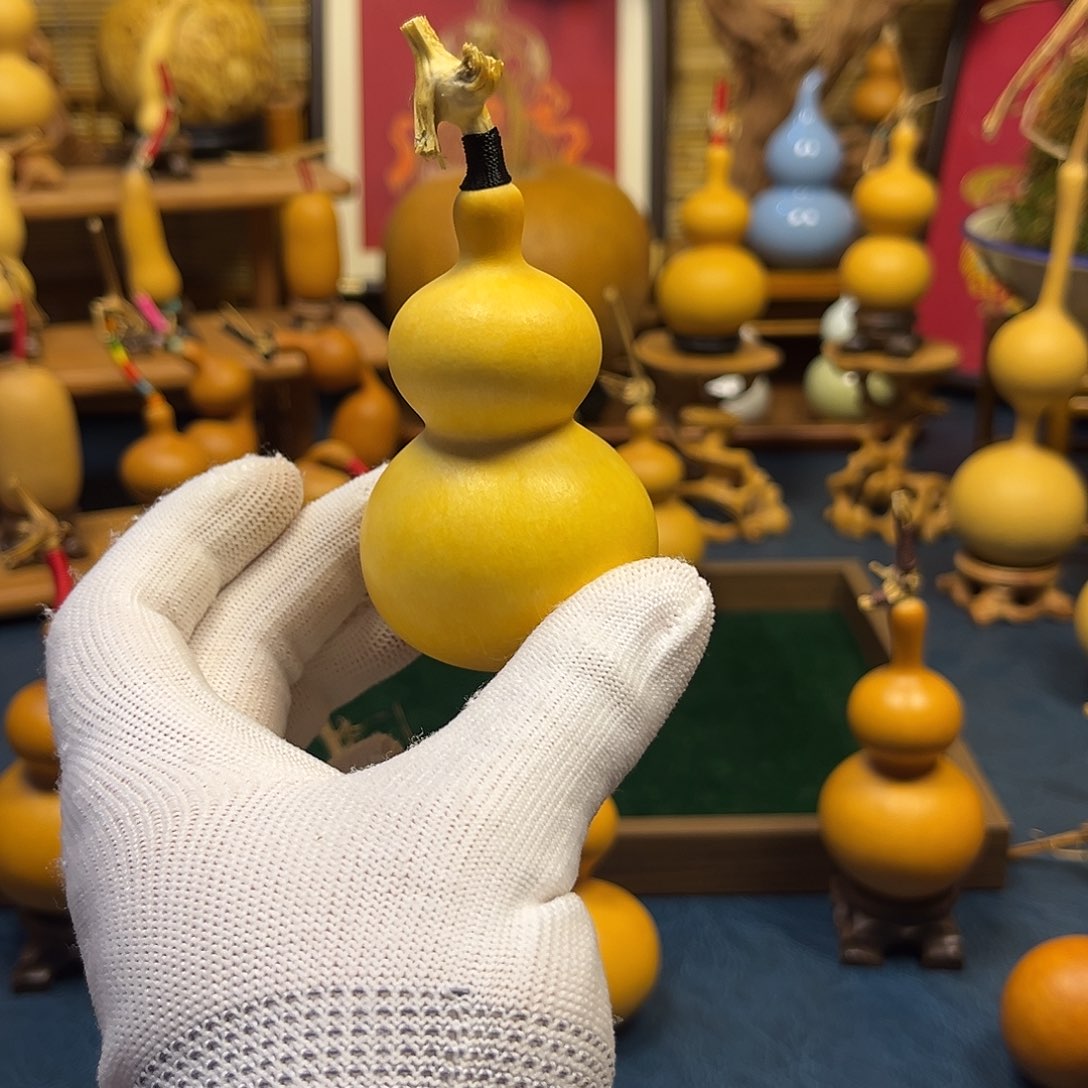 张***象真心话大冒险的故事是什么