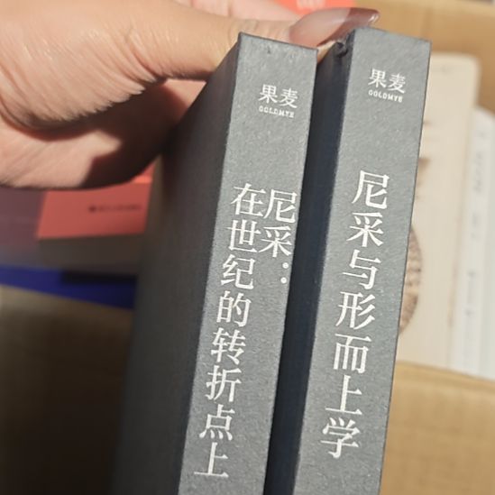 尼采 在世纪的转折点上➕尼采形而上学两本一套（微瑕务必塑封）