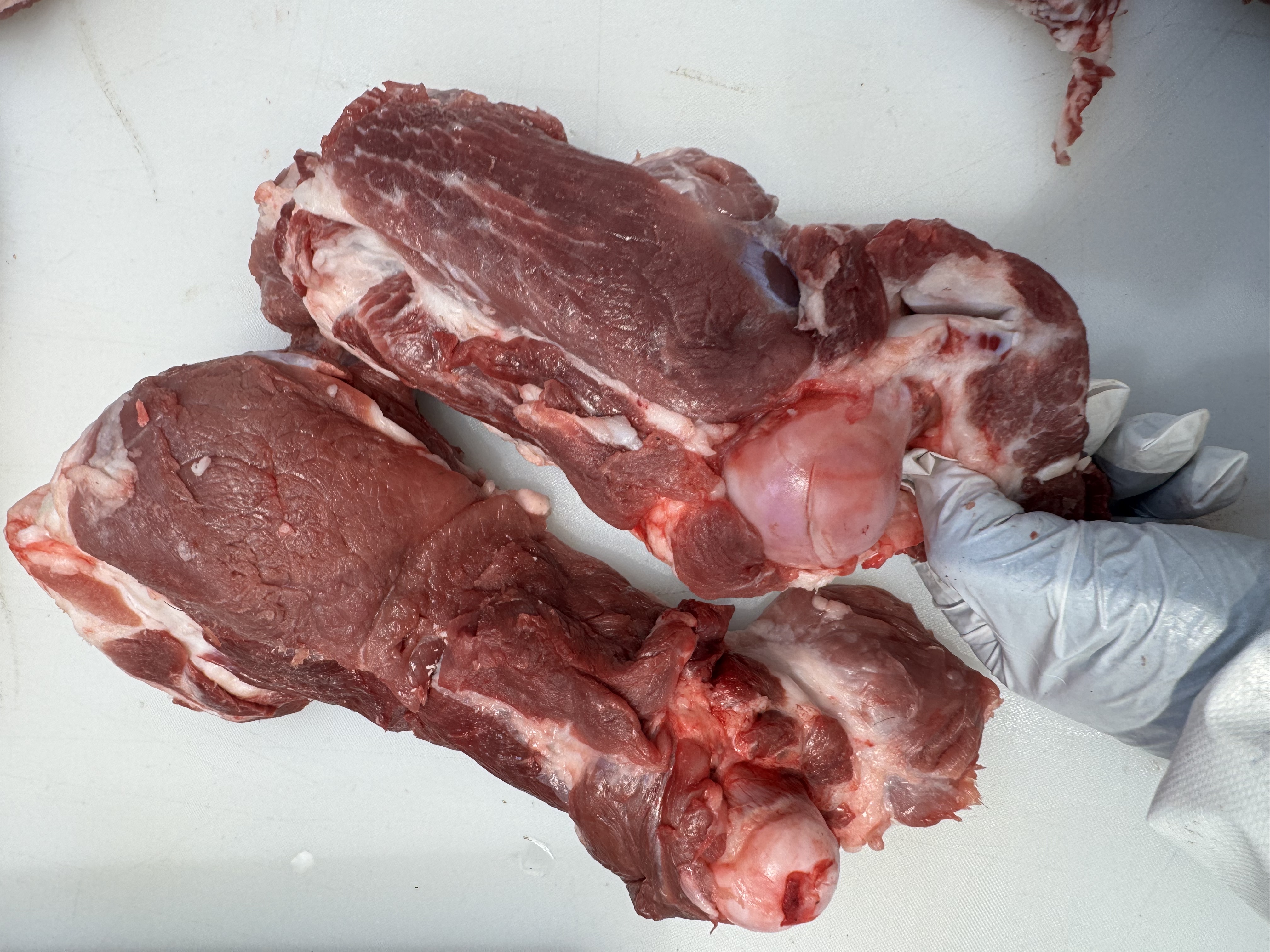 无抗黑猪14个月出栏猪棒骨