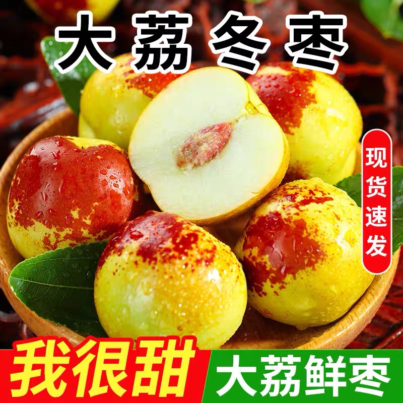 陕西大荔头茬冬枣新鲜大果脆甜应季水果整箱包邮5斤一级冰糖枣子A
