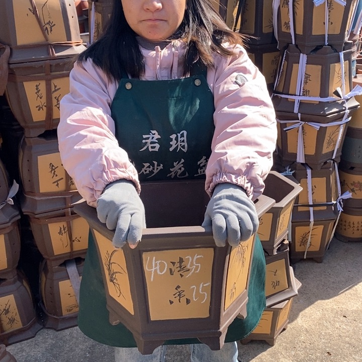 紫砂花盆盆栽花卉苗木种植