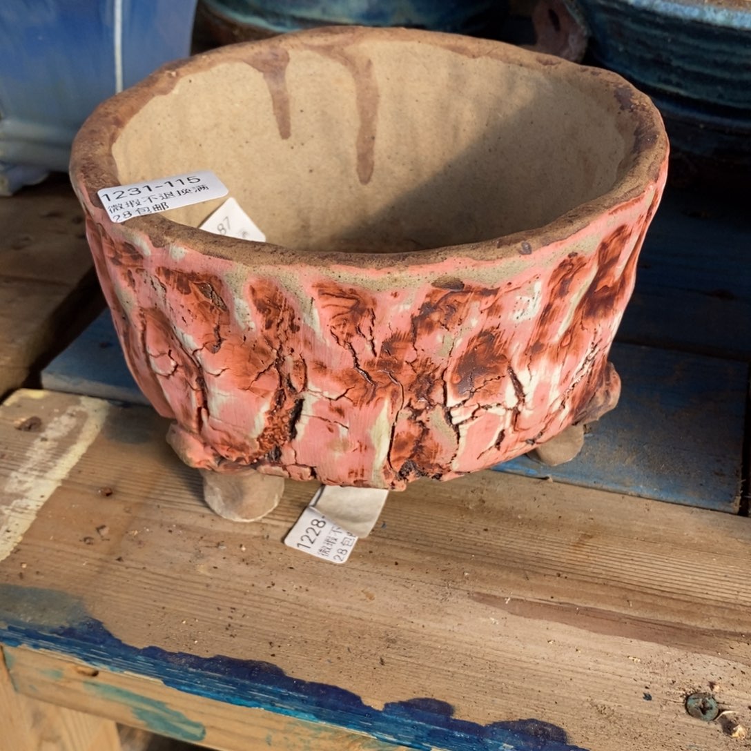 115号多肉盆口径15