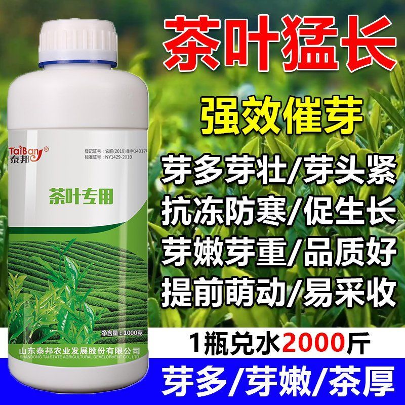 茶叶猛长茶叶催芽剂茶树叶面肥催芽素多芽嫩芽催芽灵茶园专用肥