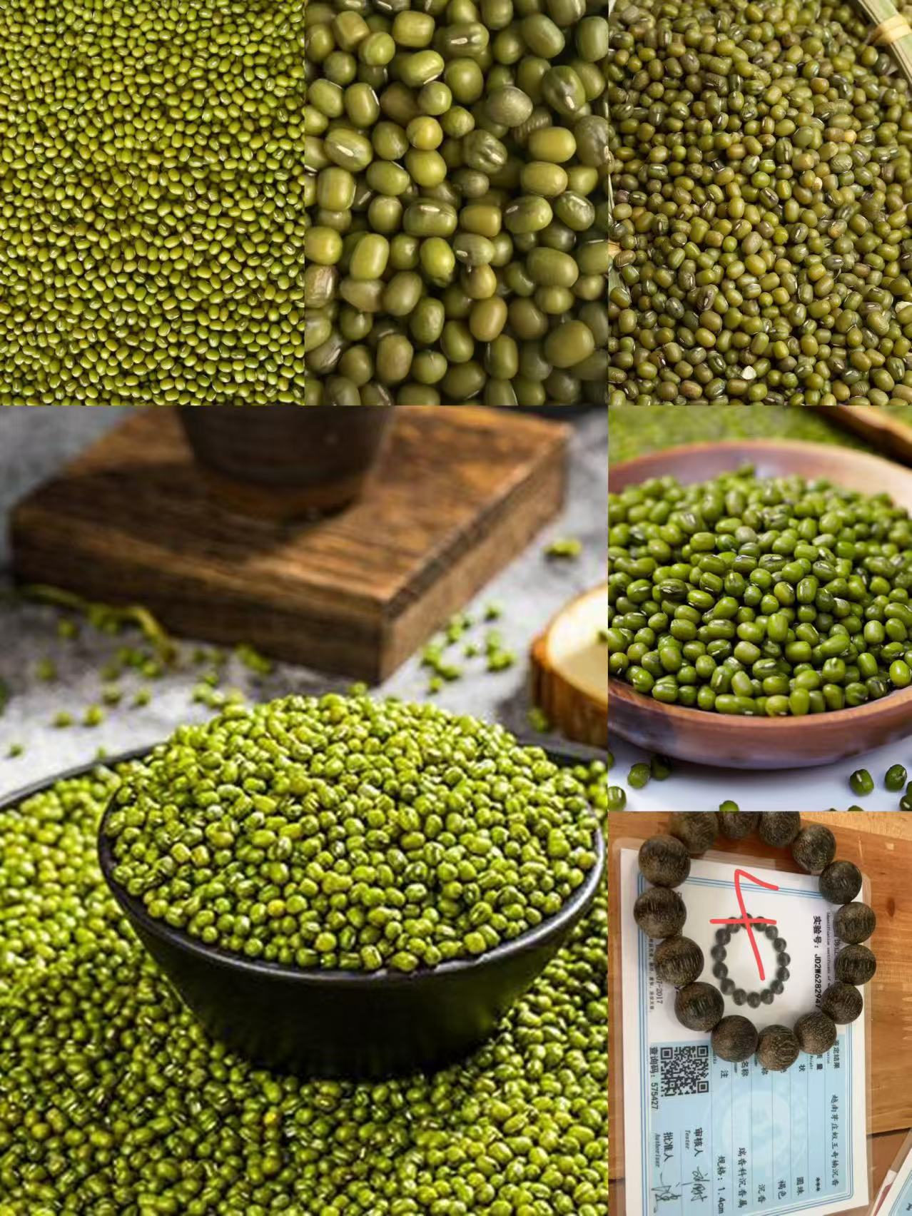 《4》龙腾专属土特产豆1.4cm-世0103-27g