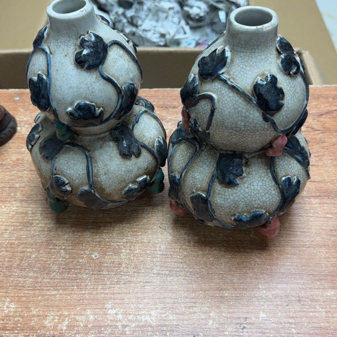 茶宠青玉龙也要走下去呢