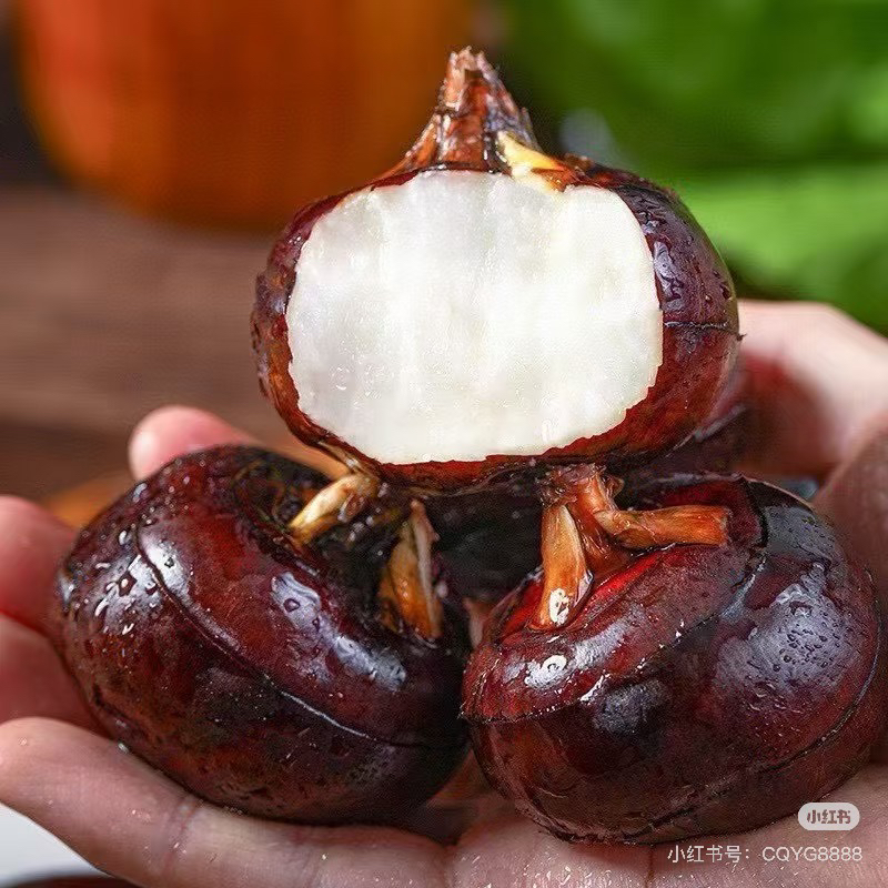 荔浦水果马蹄1份（默认茄盒）