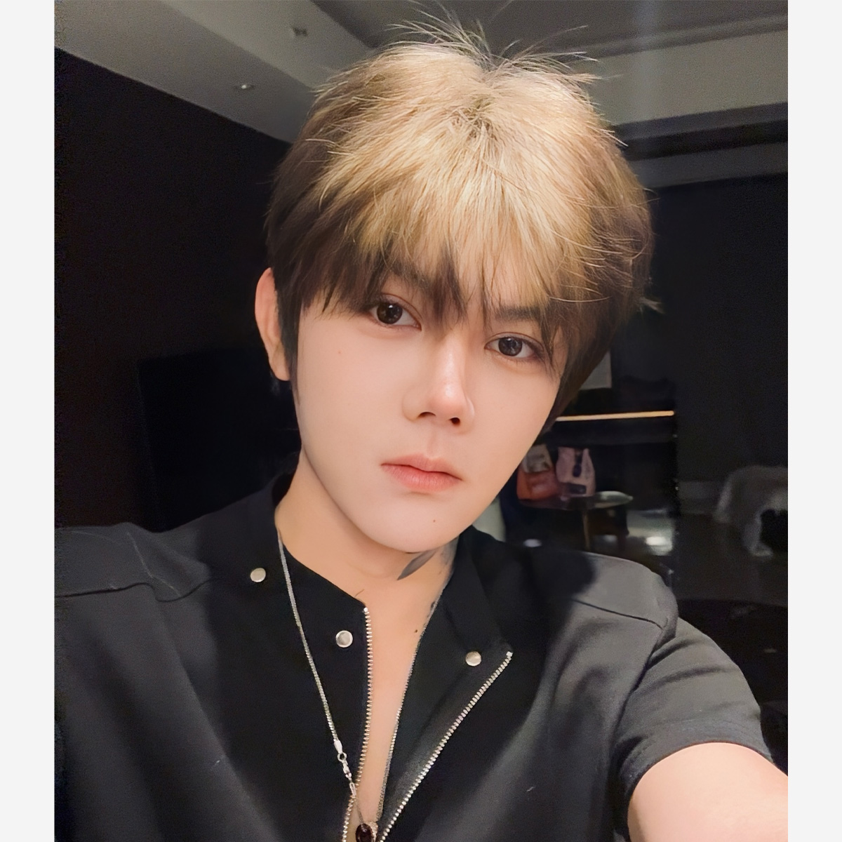 2.0新升级·发型师精修【暹罗猫】微分碎盖假发短发男生爆顶染全头套