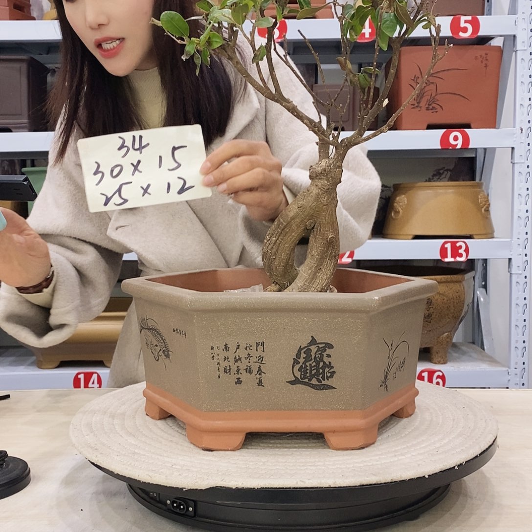 紫砂花盆紫砂花盆