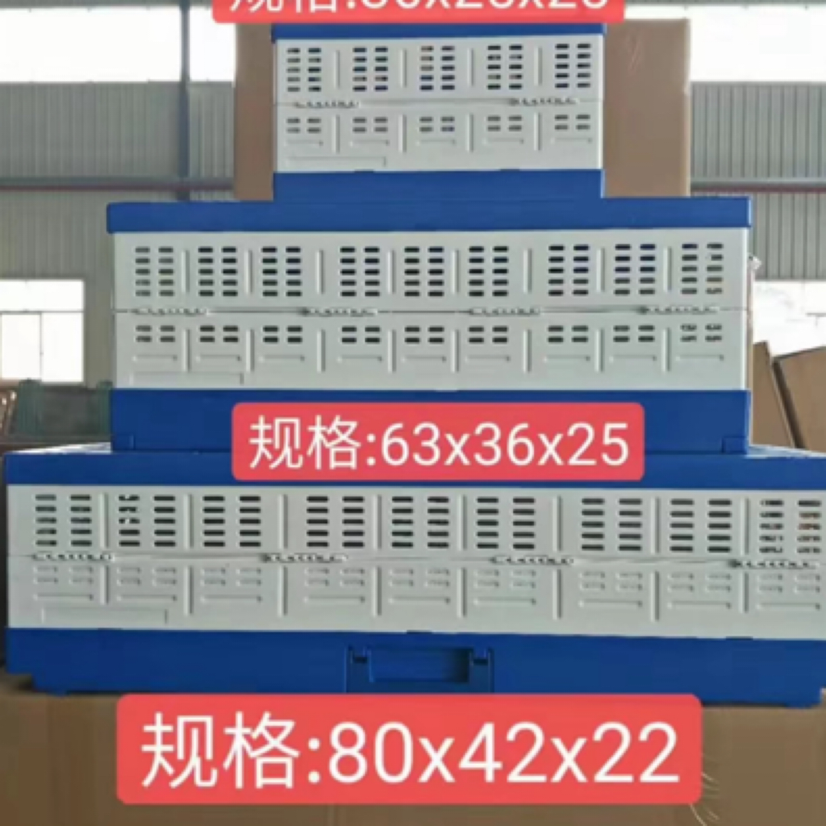 领航鸽子训放笼放飞笼老化可折叠塑料鸽子训放笼放飞笼养鸽子家飞