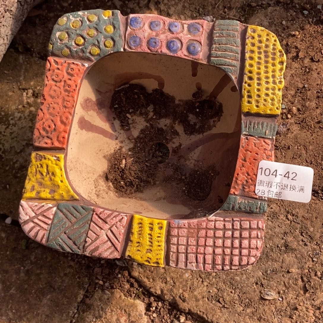 42号多肉盆口径10