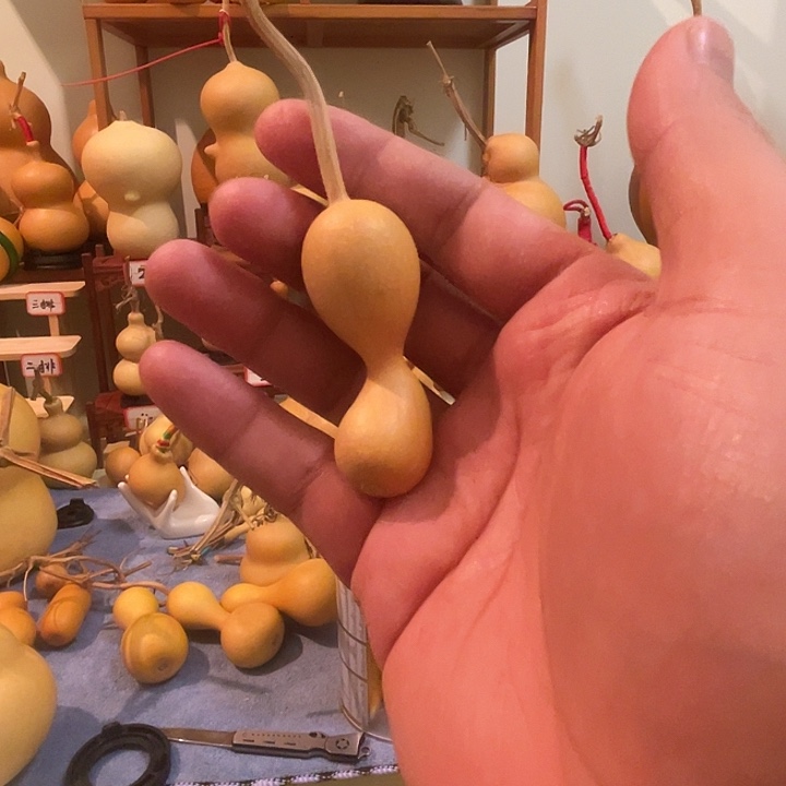0***5文玩葫芦瓶子葫芦