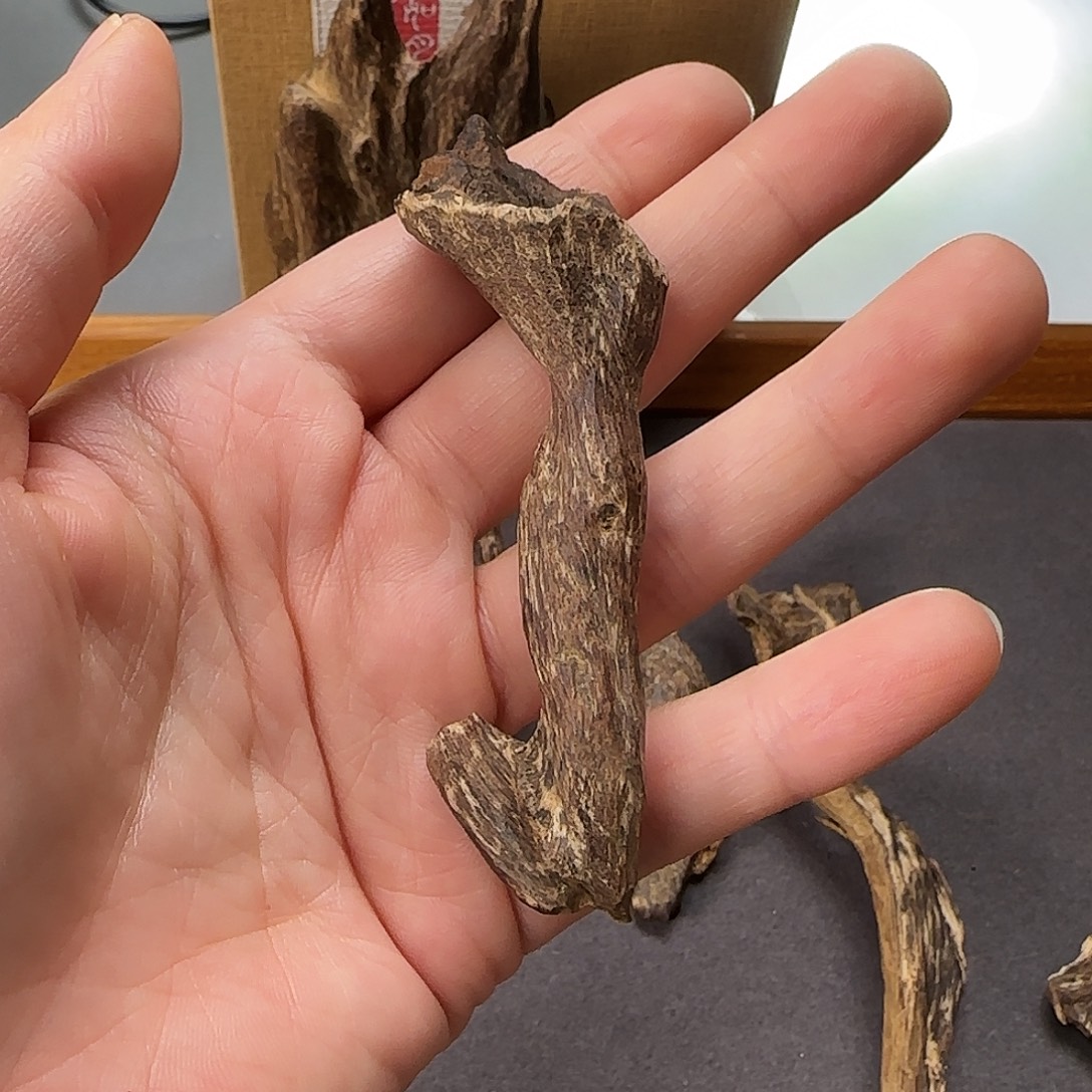 醉***翁沉香沉香碎屑海南沉水蚁穴3g