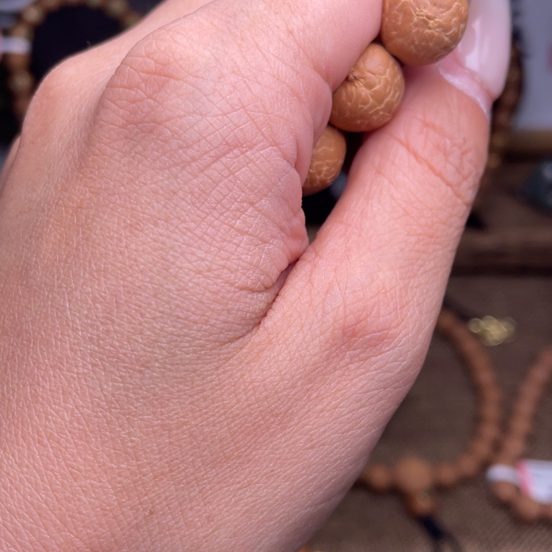 凤眼菩提手串菩提684