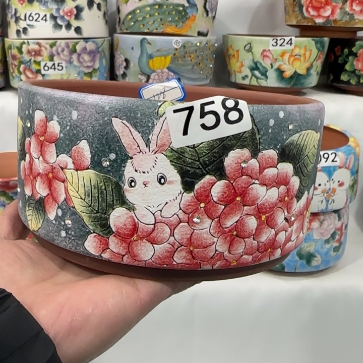 红陶田小姐多肉花盆