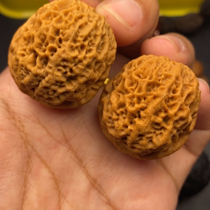 文玩核桃把件36尺蚂蚁元宝