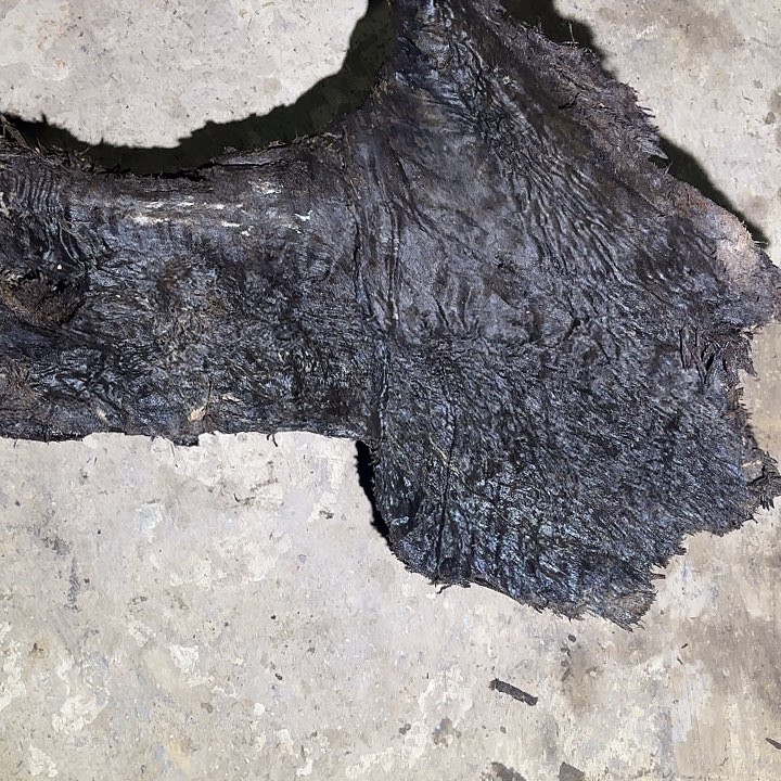 根***家金丝楠金丝楠阴沉木