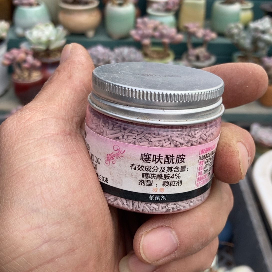 羚***主腰子小粉小粉发货发货