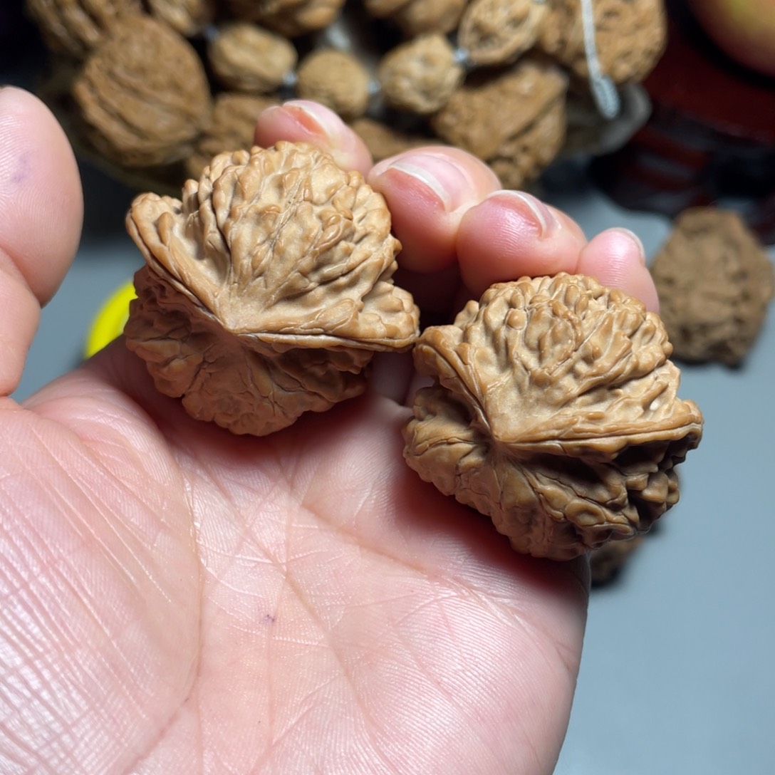 核桃手串/手链精品文山飞蛇