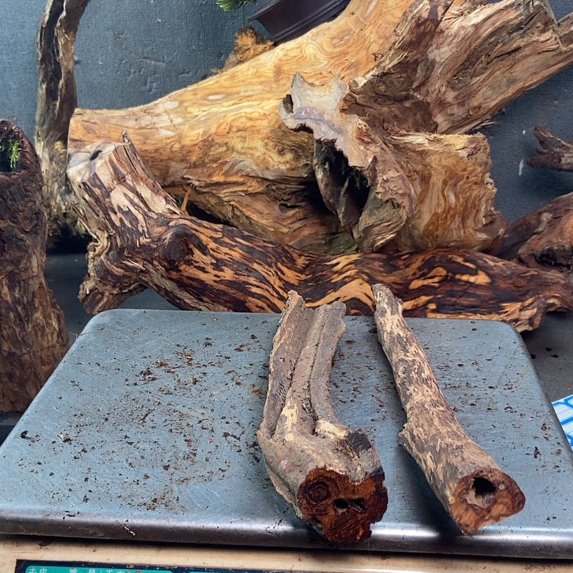 【闪购商品】黄花梨/降香黄檀冬*