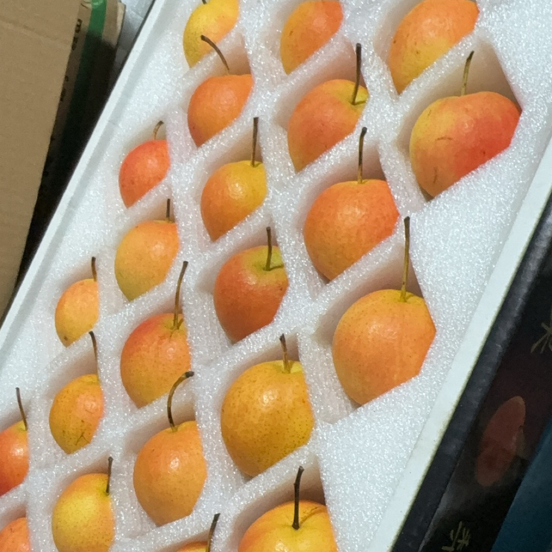 辽宁特产鞍山南果梨高端礼盒精品红南果包邮