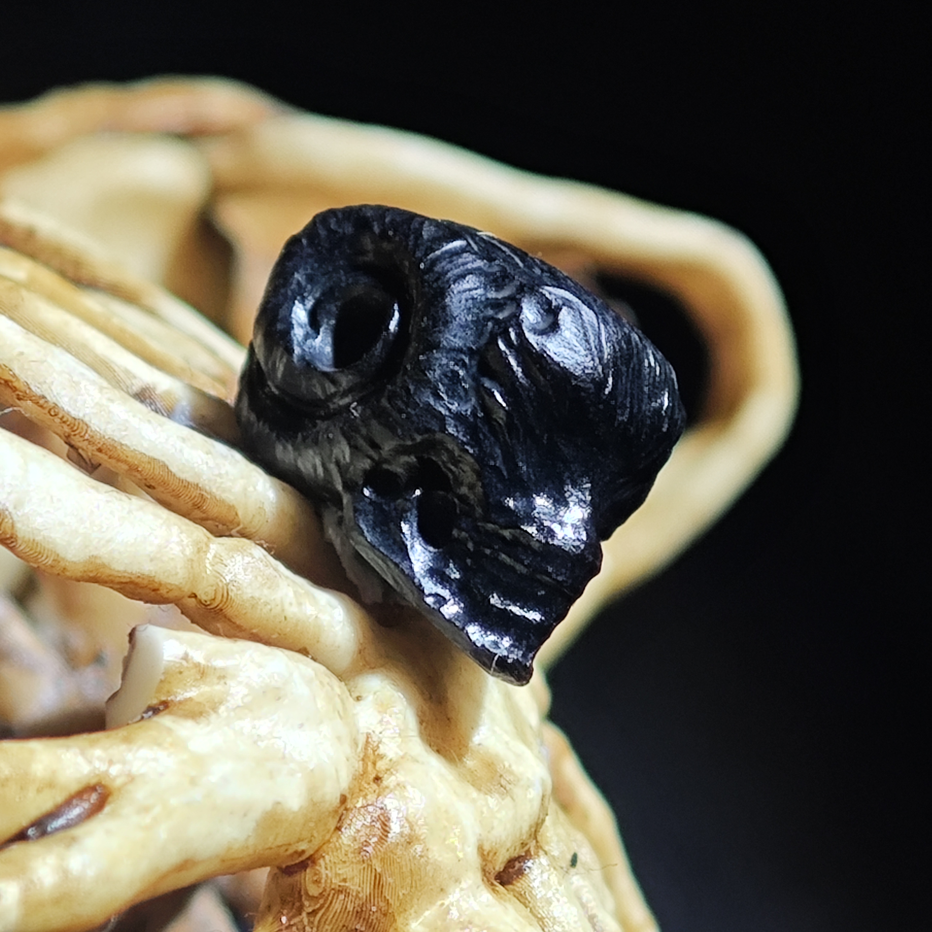 【不言骑 · 初度】gc黑初度全三通 羊角恶魔骷髅 尺寸8*12*14