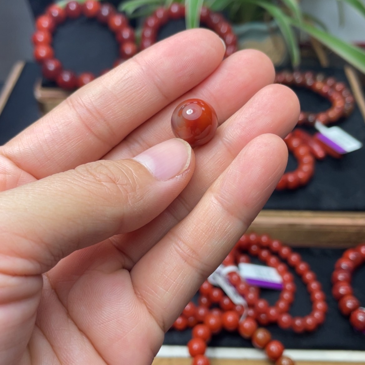 【闪购商品】未镶嵌单珠南红玛瑙13