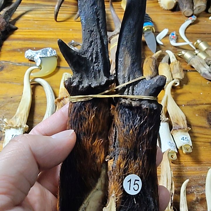 鸿乐堂直播间选货