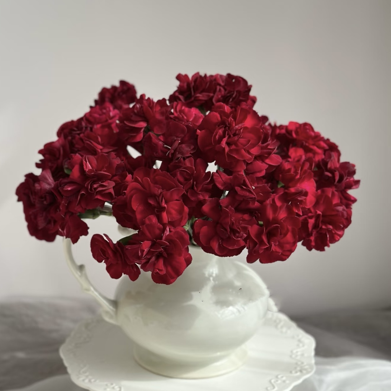 【花之物语】黑珍珠多头康乃馨 包邮