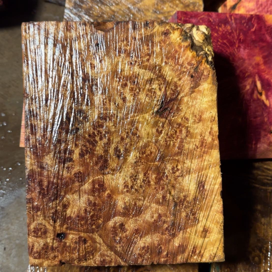 哈***哈木黄金樟树瘤定制链接