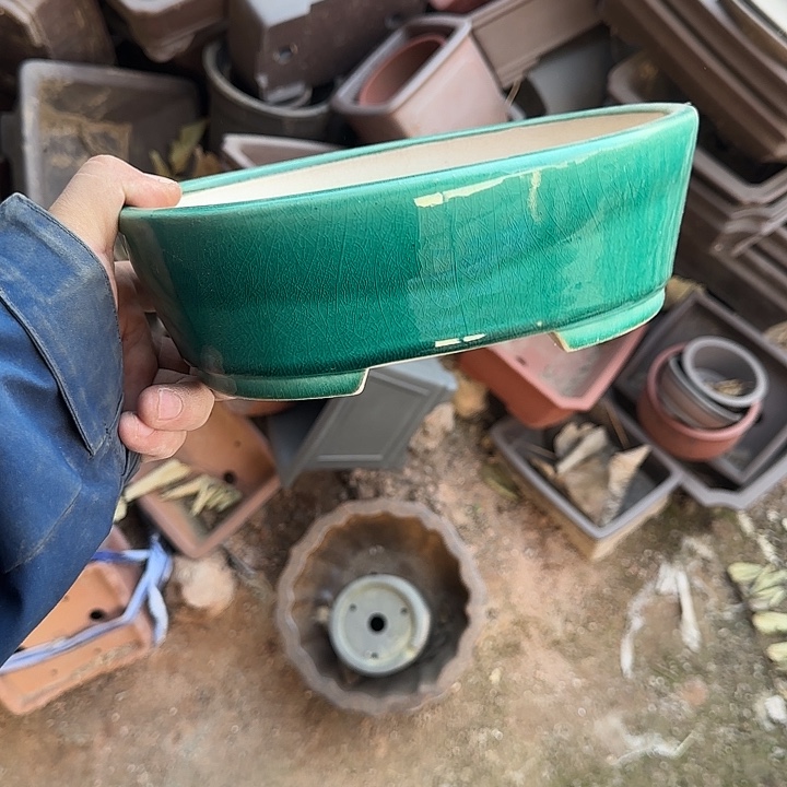 你说是谁就让我们等的你呢亲爱勒