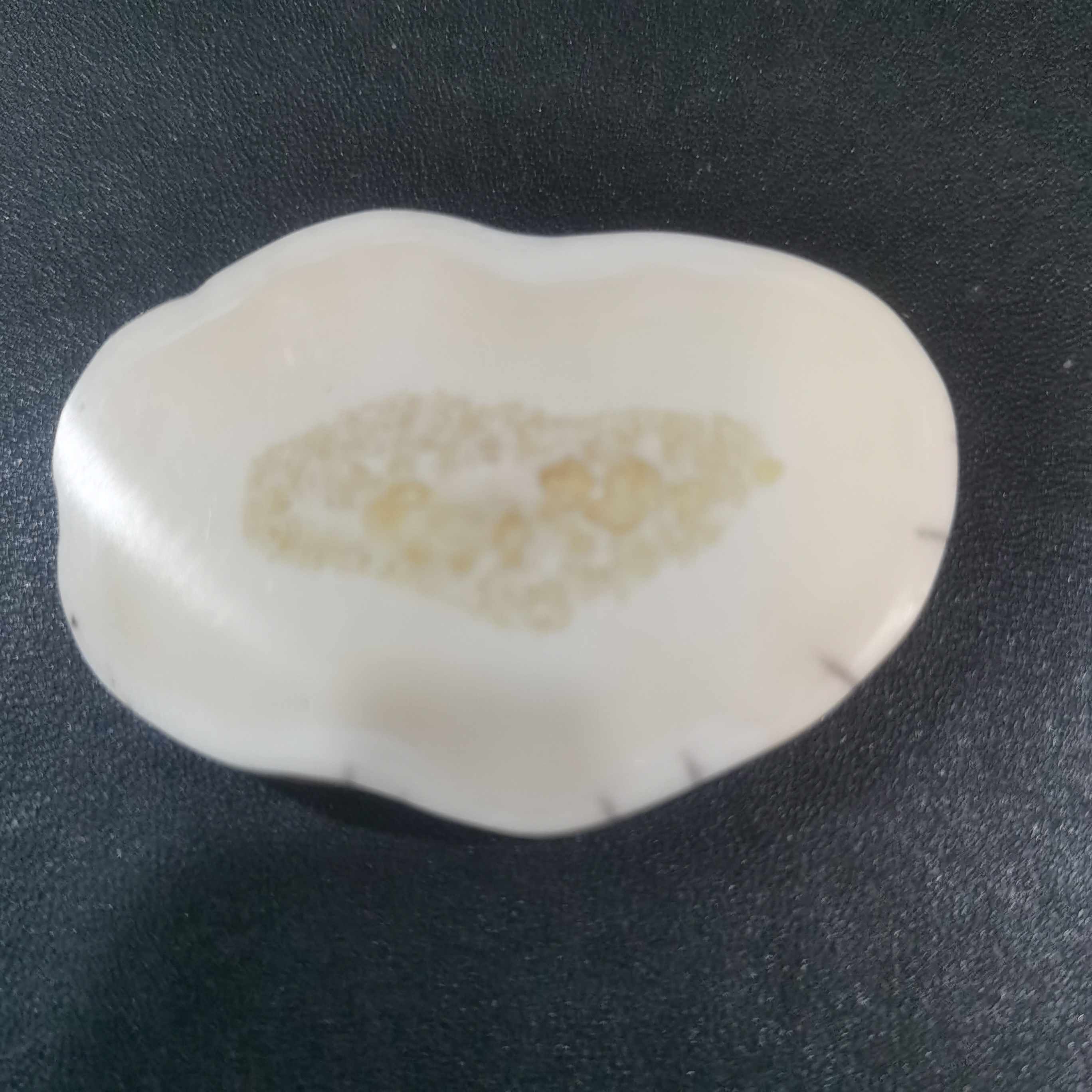 猛犸虬饼子kk785