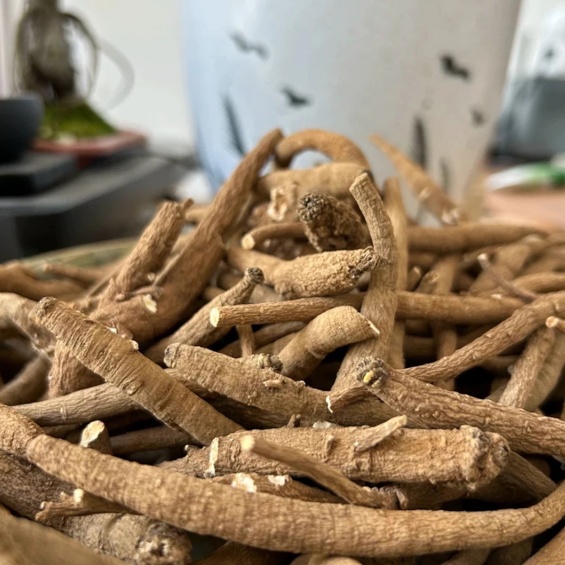 云南高原 甜当归 火妹甄选