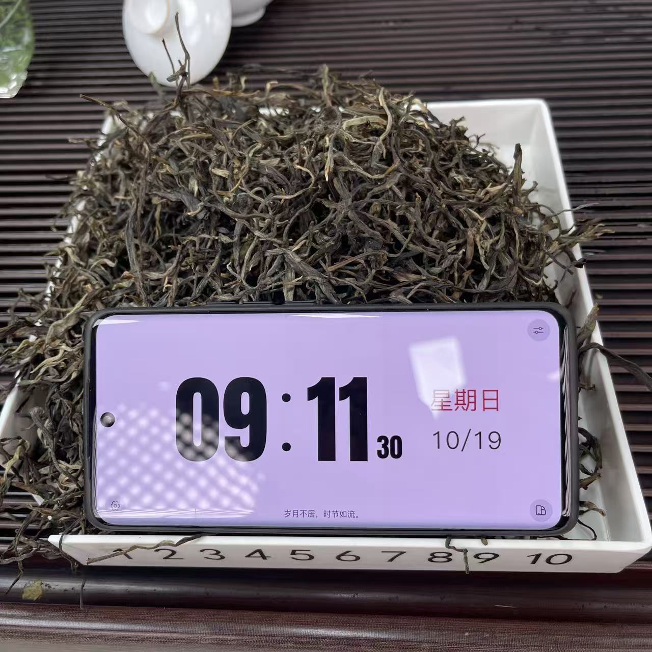 2025年台地王章家三队 春茶普洱茶  散茶 古树茶  25-10-19  S9