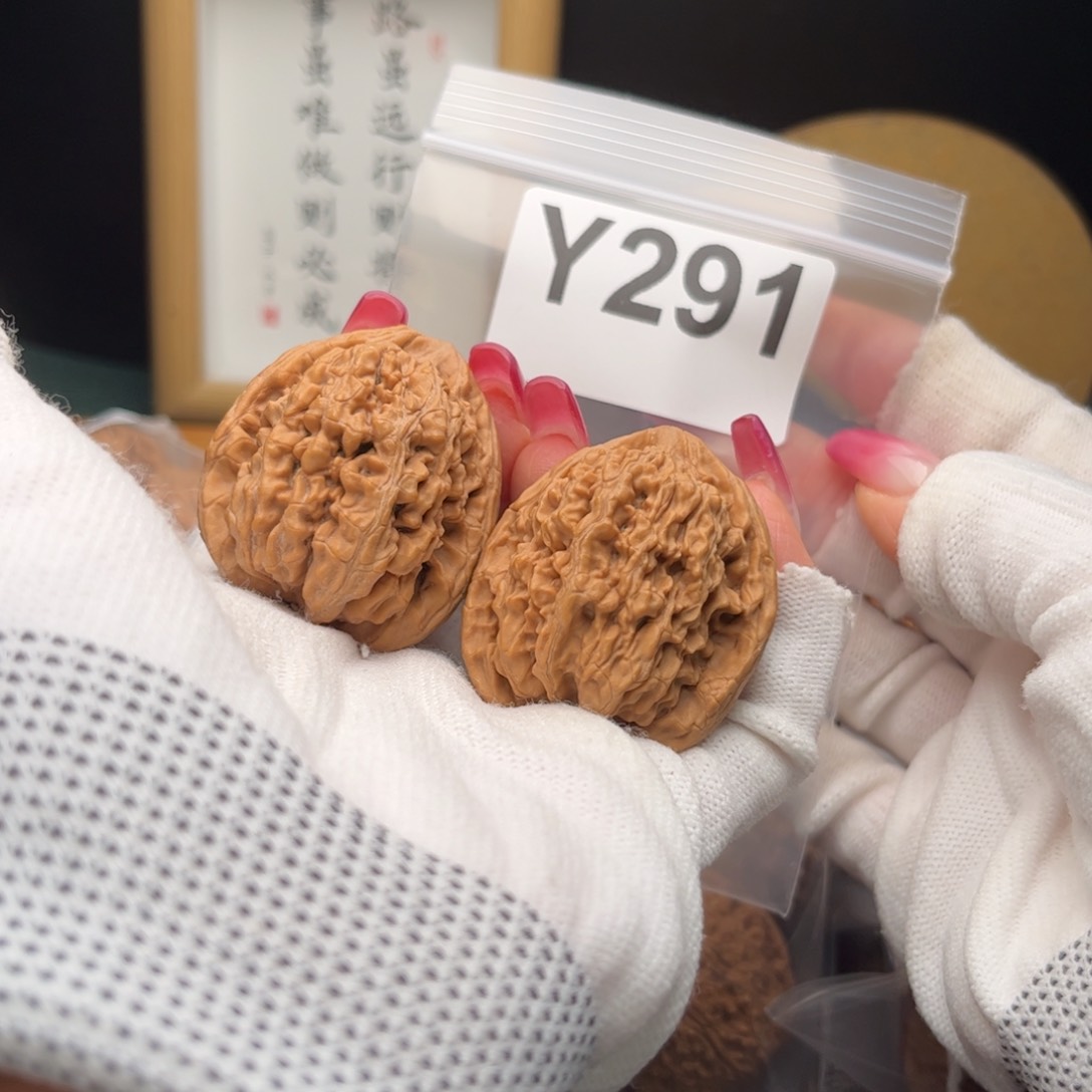 文玩核桃把件37蚂蚁王y 291