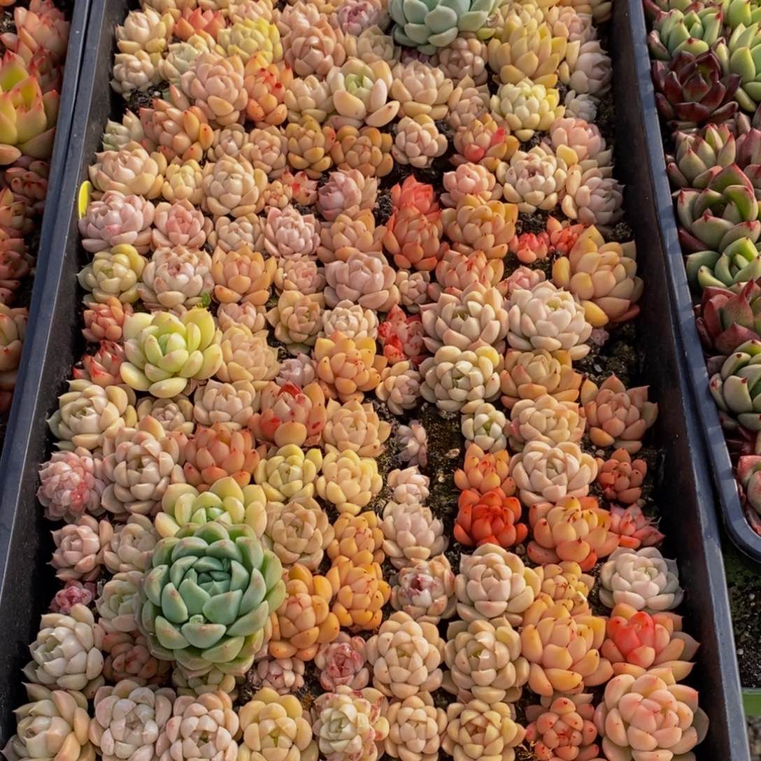 048的人在一起了，你