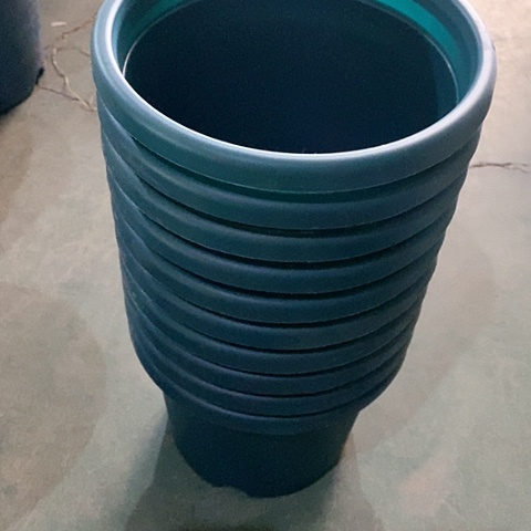 树脂编号编号5031