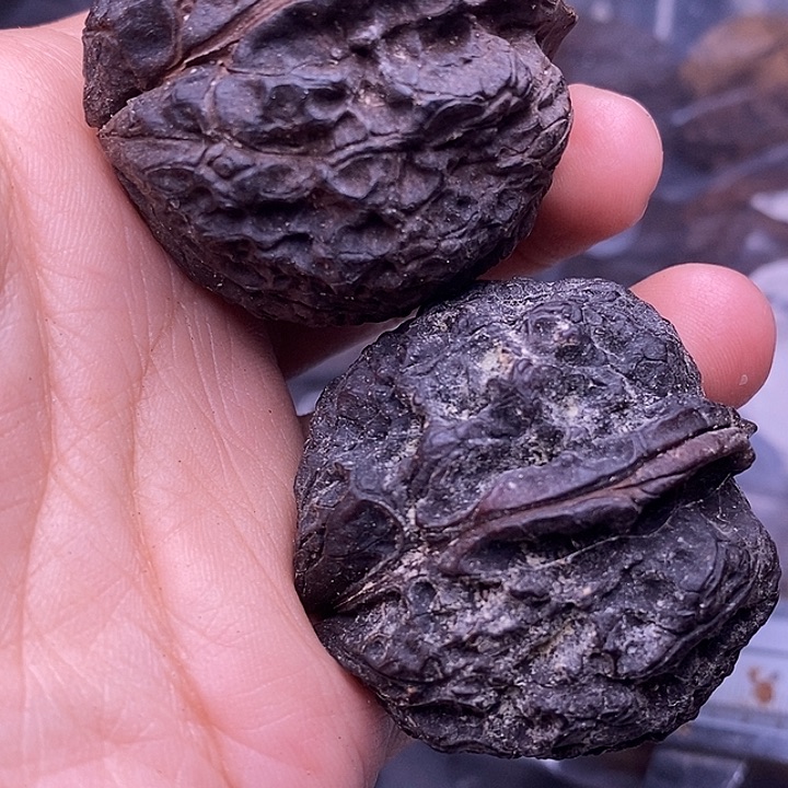 文玩核桃把件   171